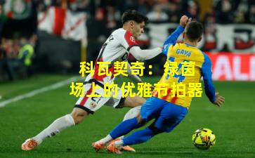 科瓦契奇：绿茵场上的优雅节拍器